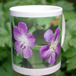 mug DS-048 Geranium maculatum 7070
